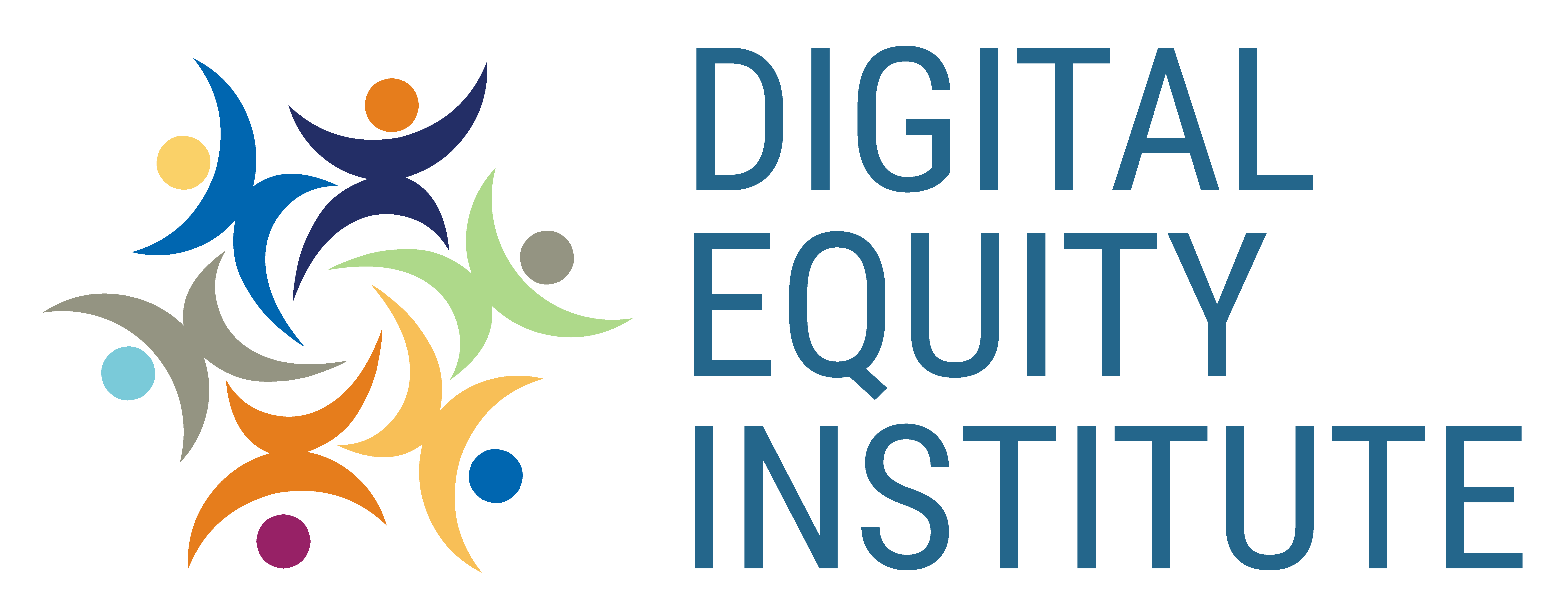 Digital Equity Institute