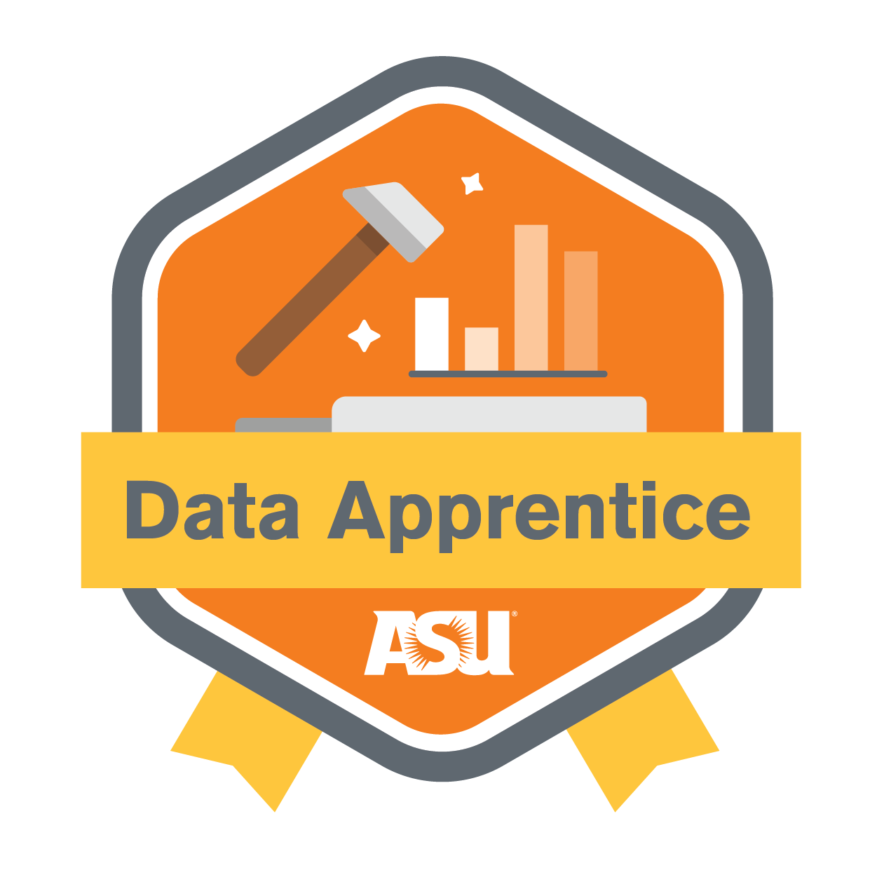 data apprentice
