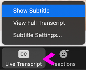 Screenshot of Zoom's Live Transcript button and the Show Subtitle option