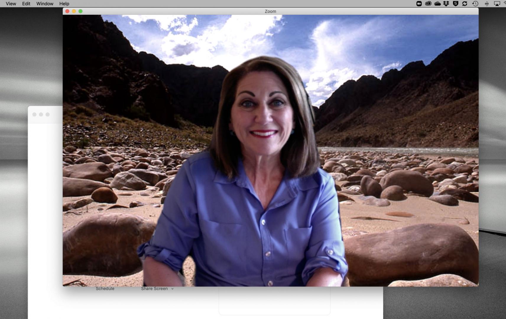 Penny Ann Dolin teaches with backgrounds on Zoom